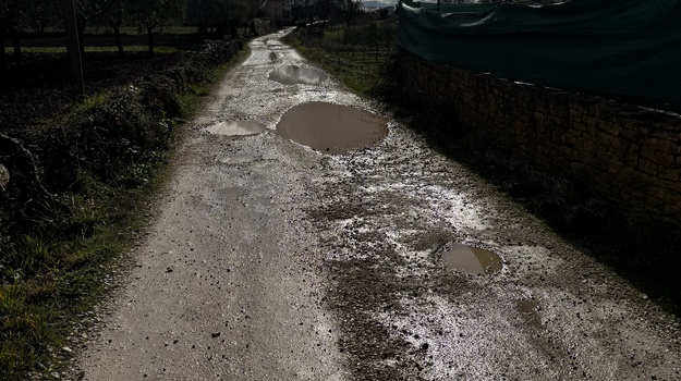 Sarkastična Zahvala na Prijavi