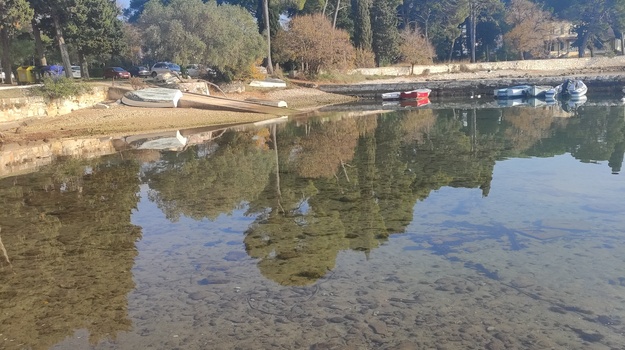 Nadzor pasa kod ulaza bolnice