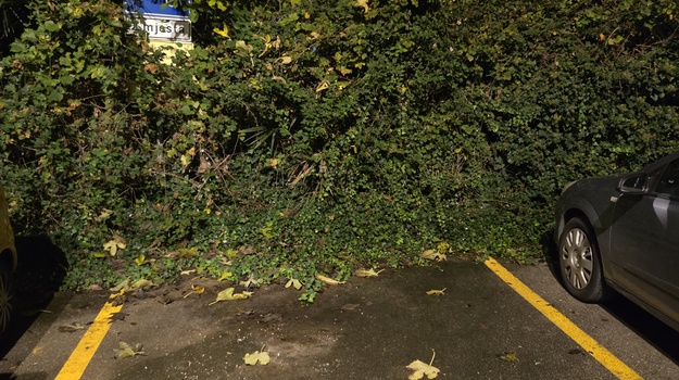 Zapostavljeno parkiralište u centru grada