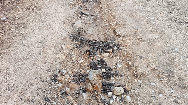 Sanacija puta Val Vidal-Mon Paradis