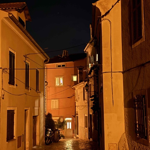 Javna