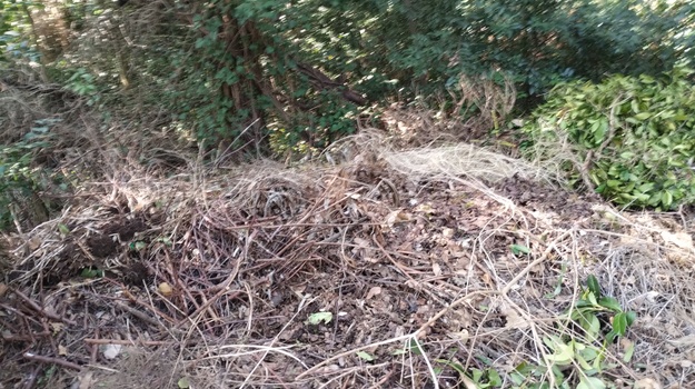 Uklanjanje zelenog otpada Borik