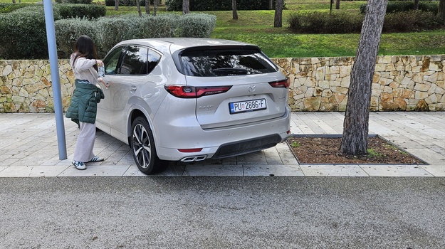 Bezočno parkiranje blokira šetnicu