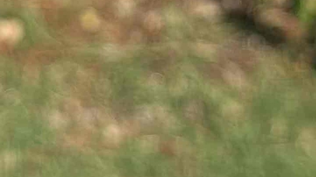 Nesnosna buka susjeda kod Olimpa