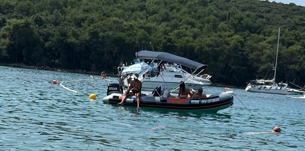 Dozvoljeni
