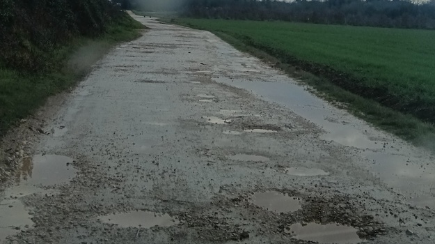 Hitna sanacija Pulske ceste