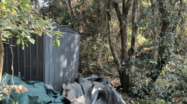 Otpad bačen u šumi nakon rušenja bara