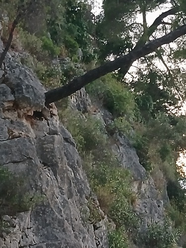 Urušavanje