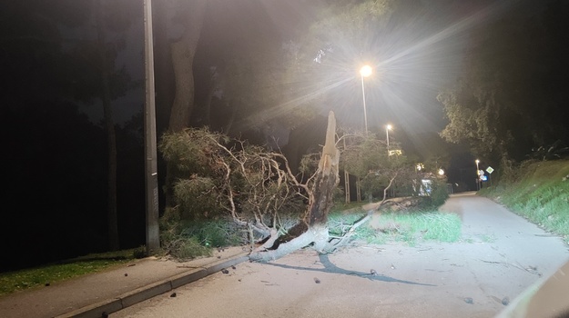 Pad grane ispred zgrade