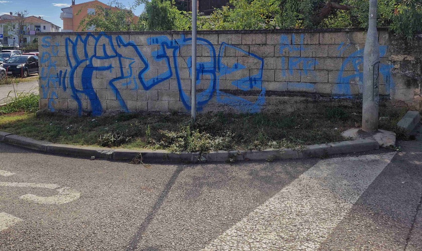 Vandalizam