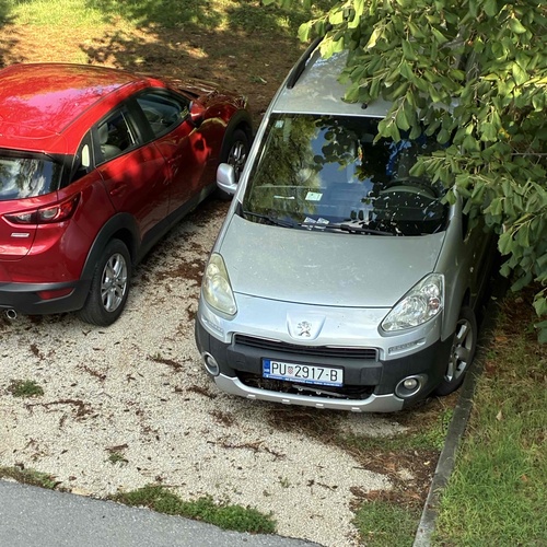 Neugodan