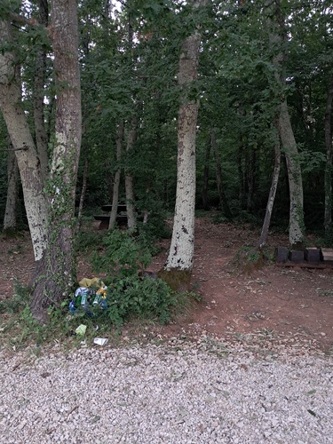 Rovinjsko