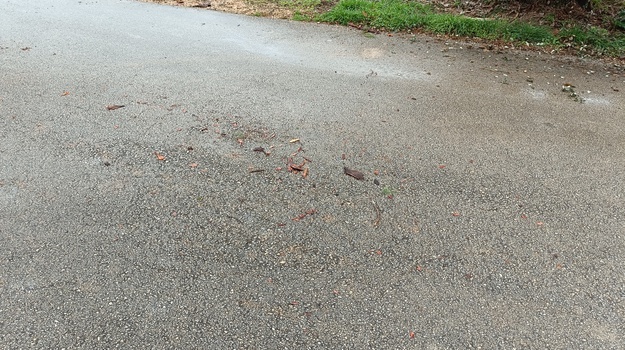 Stanovanje na ulici Laste