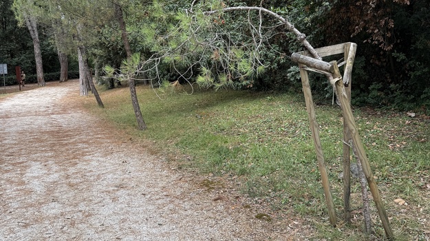 "Postavljanje Stabla na Punti"