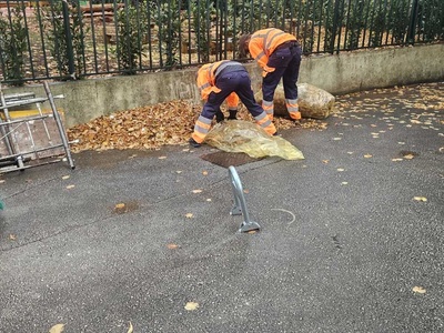 Pokupite Lišće Prije Kiše