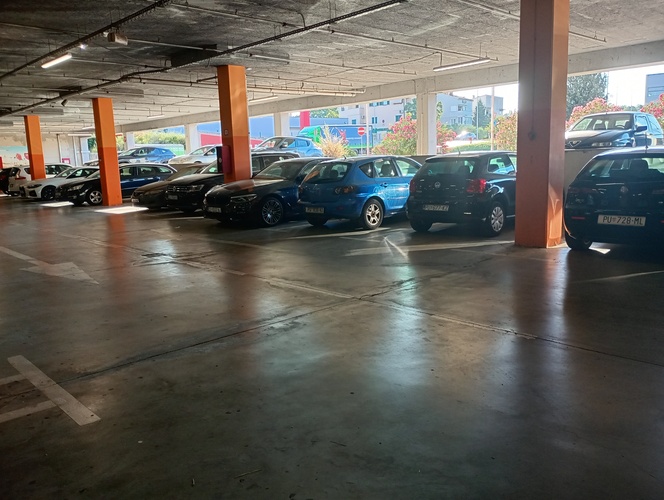 Nepravilno