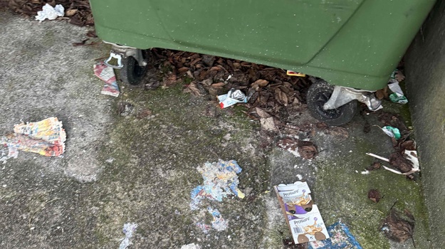 Zapostavljena čistoća ispred trgovine