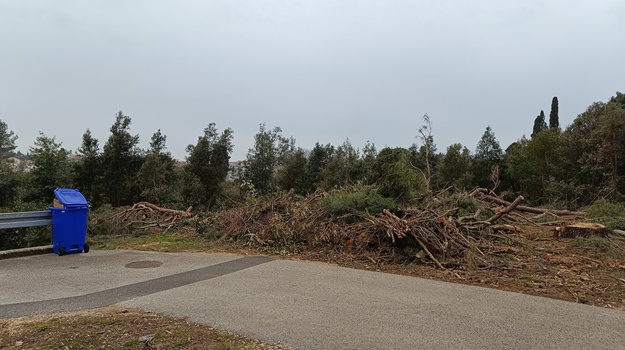 Nepokošena ulica Laste čeka čišćenje