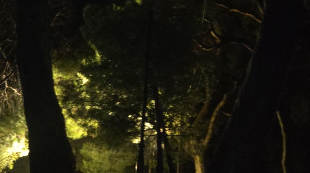 Popravak javne rasvjete na Montu