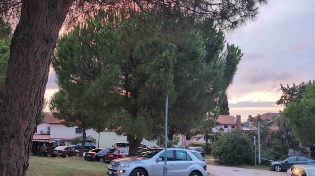 Zabranjeno parkiranje na travnjaku