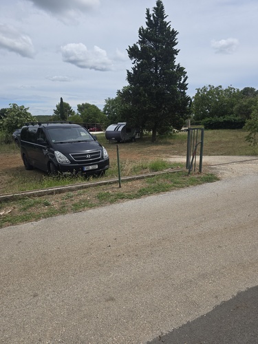 Češki