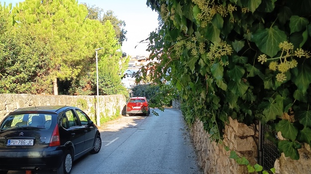 "Problemi s parkiranjem i zelenilom"