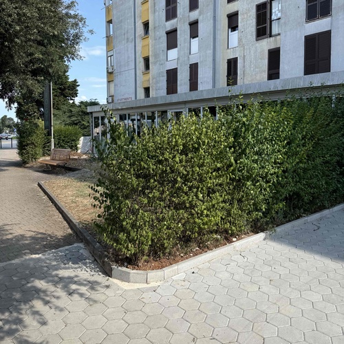 Podrežite